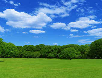 新緑の季節 長崎駅前 コワーキングスペース Minato みなと